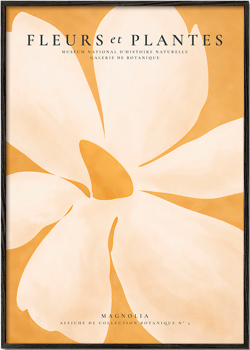 Plakat botaniczny Magnolia duży format