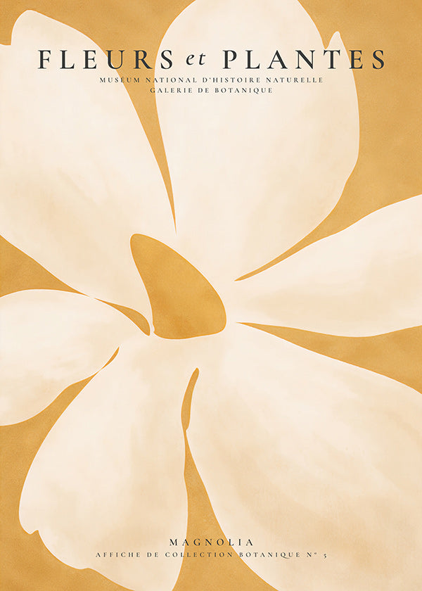 Plakat botaniczny Magnolia duży format