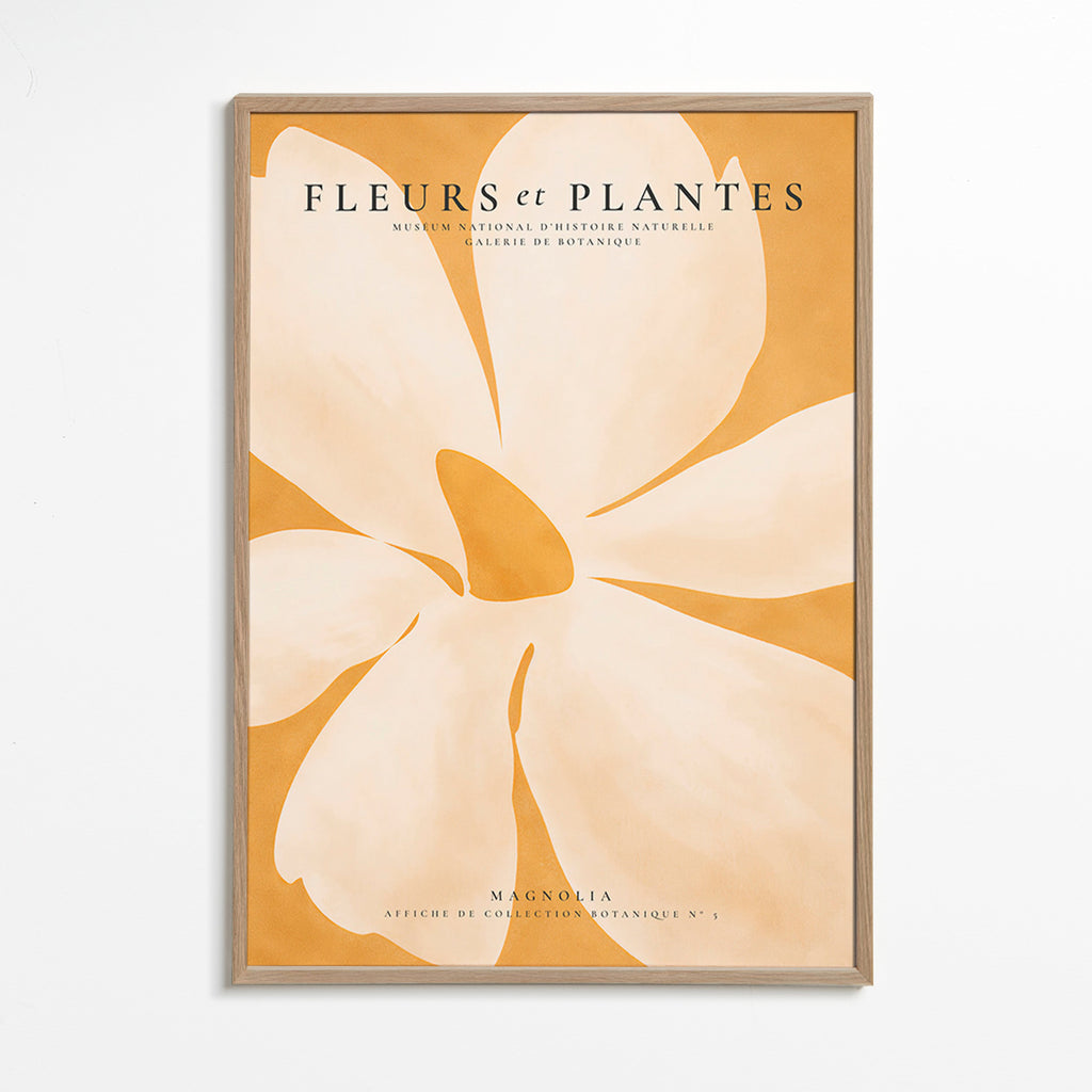Plakat botaniczny Magnolia duży format