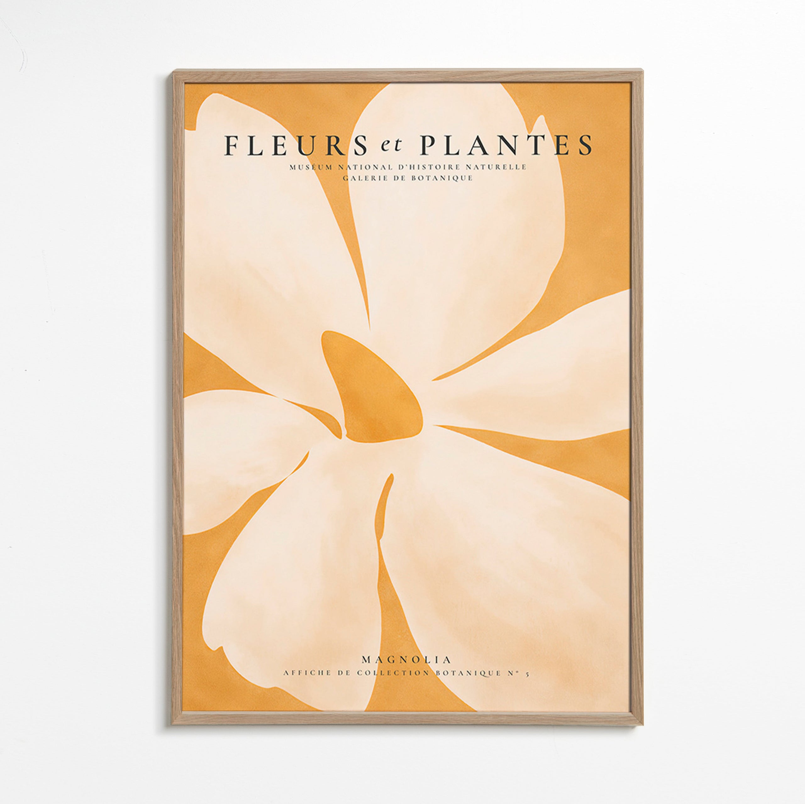 Plakat botaniczny Magnolia duży format