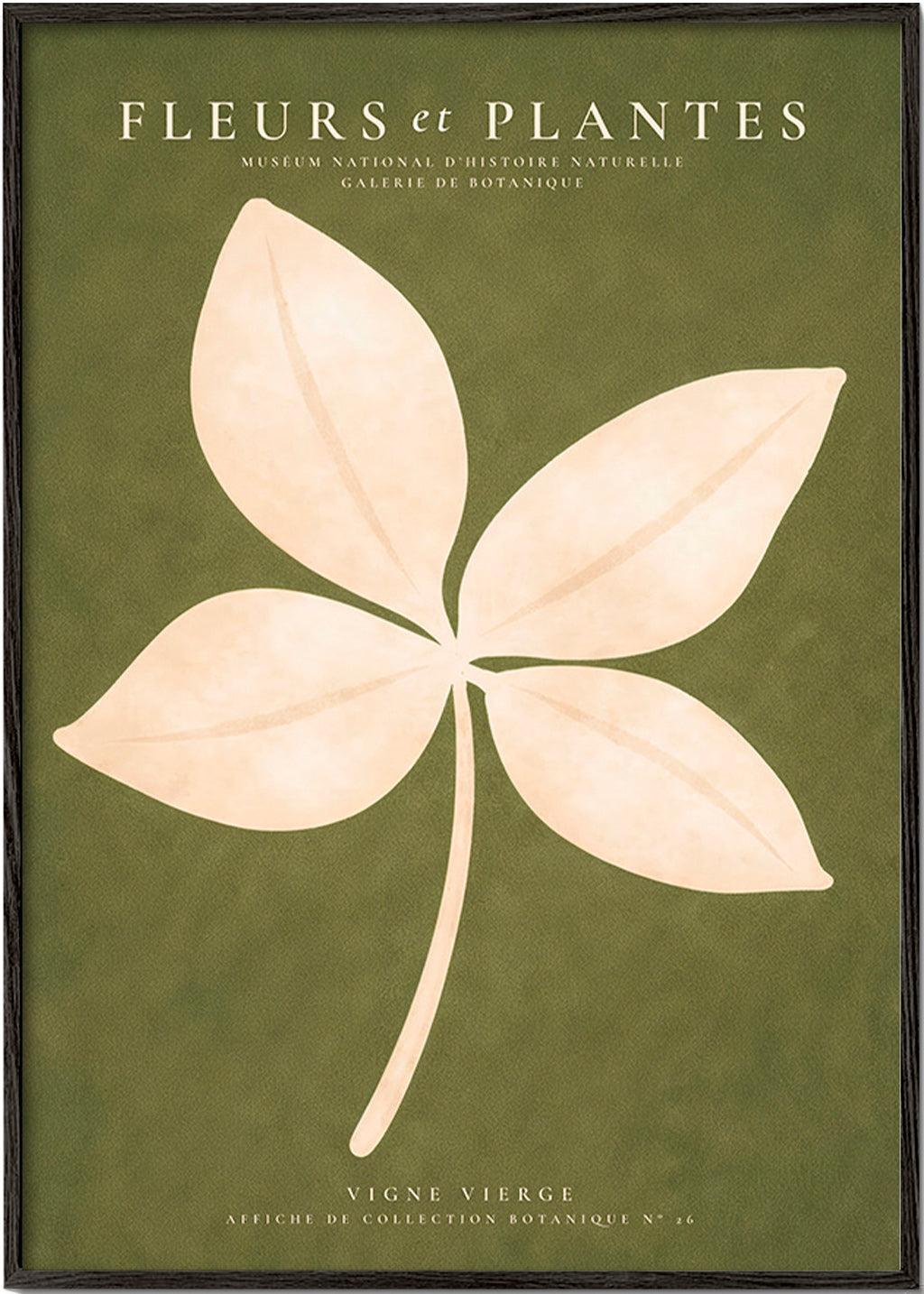 Plakat botaniczny: kremowy liść na zielonym tle