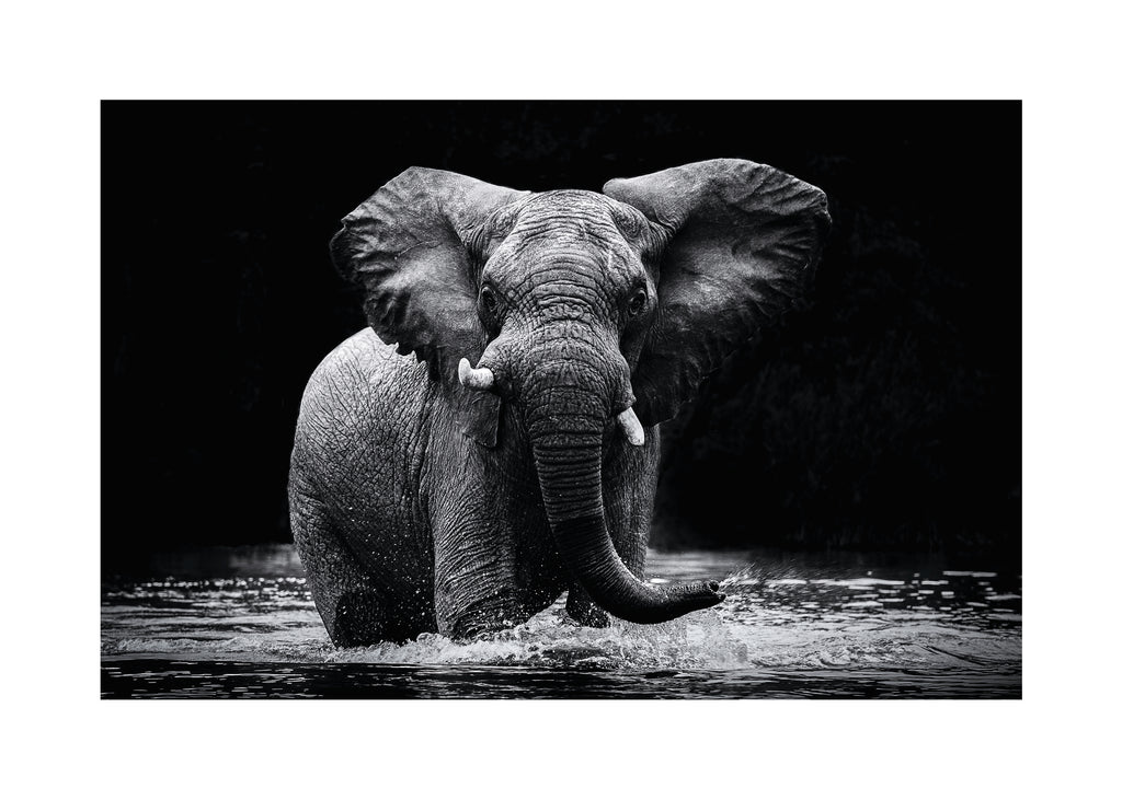 Power 1 - Unframed art print