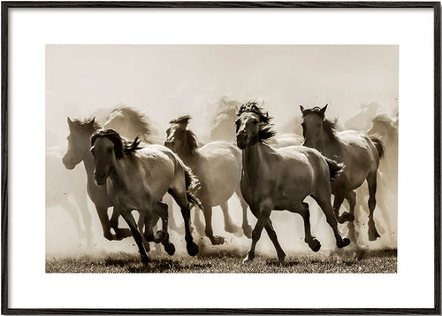 Konie w galopie sepii – Black Frame
