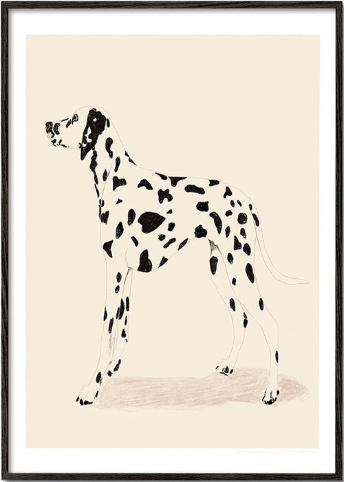 Plakat dalmatyńczyk w linii minimalistycznej – Black Frame