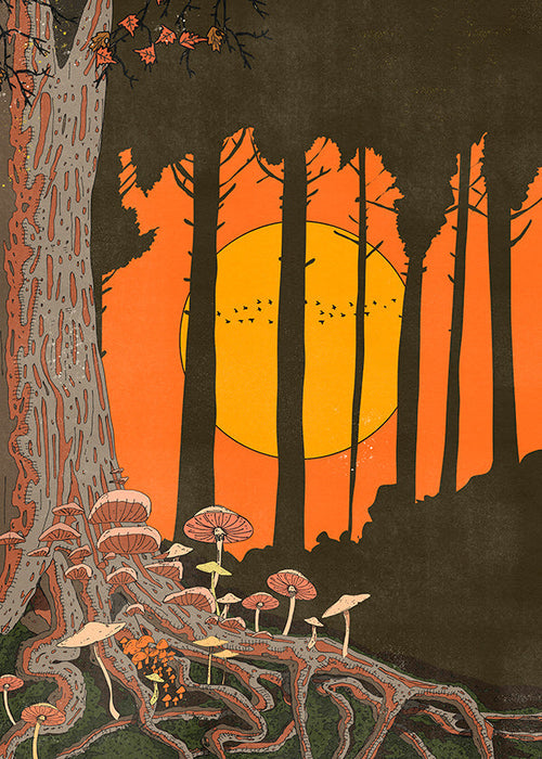 Ilustracja lasu o zachodzie słońca z grzybami