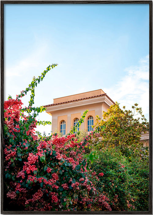 Plakat botaniczny z fasadą Amalfi i bugenwillą – Black Frame