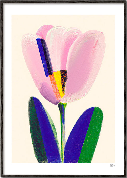 Plakat botaniczny różowy tulipan – Black Frame