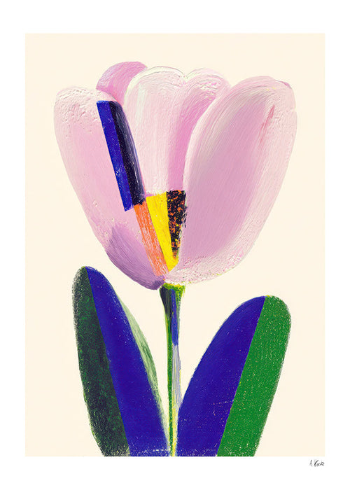 Plakat botaniczny różowy tulipan