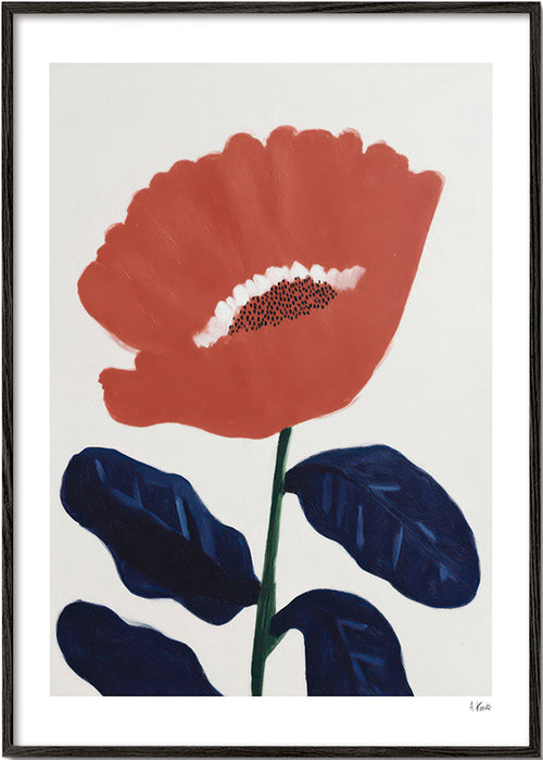 Plakat botaniczny koralowy kwiat – Black Frame
