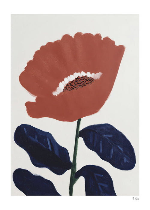 Plakat botaniczny koralowy kwiat