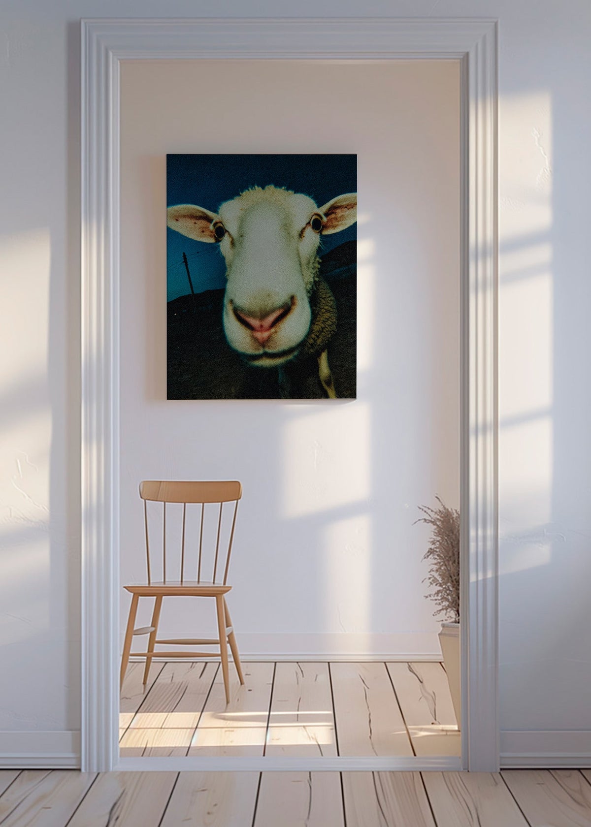 Portret owcy z bliska