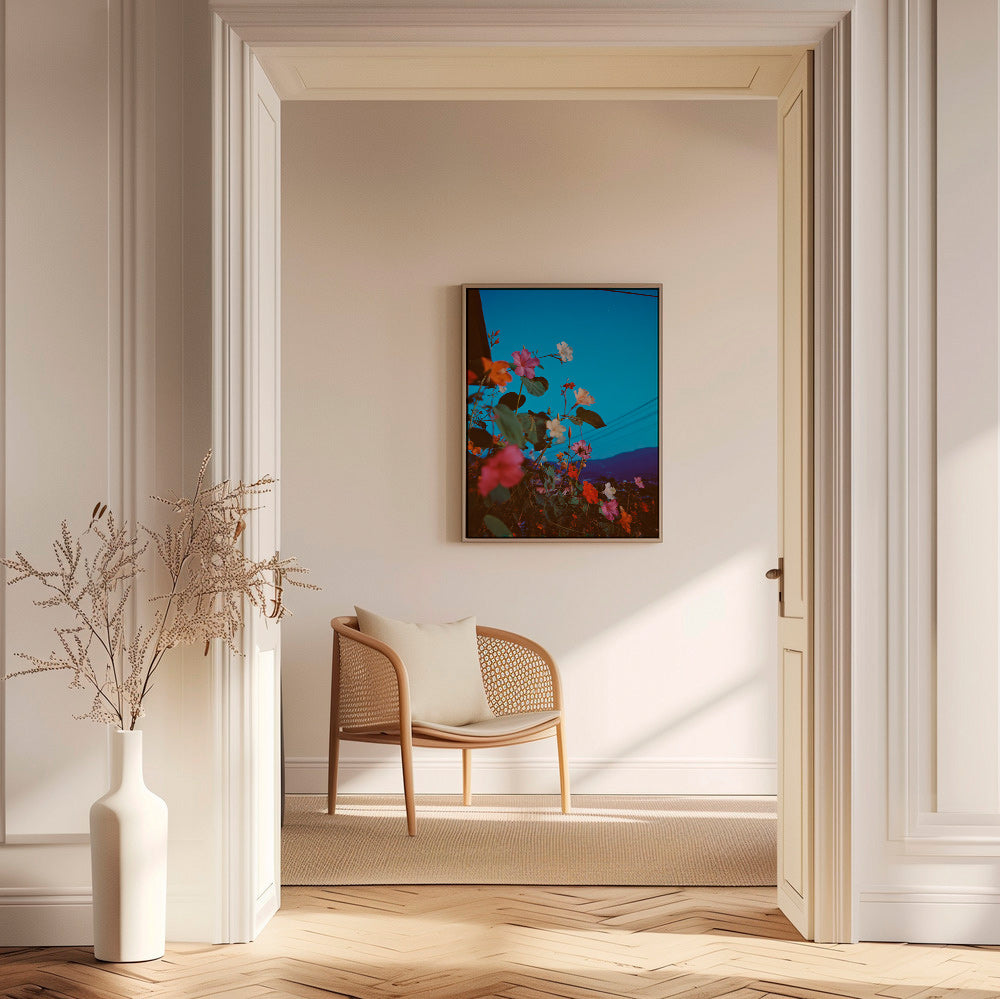 Plakat botaniczny: bugainvilla o zmierzchu