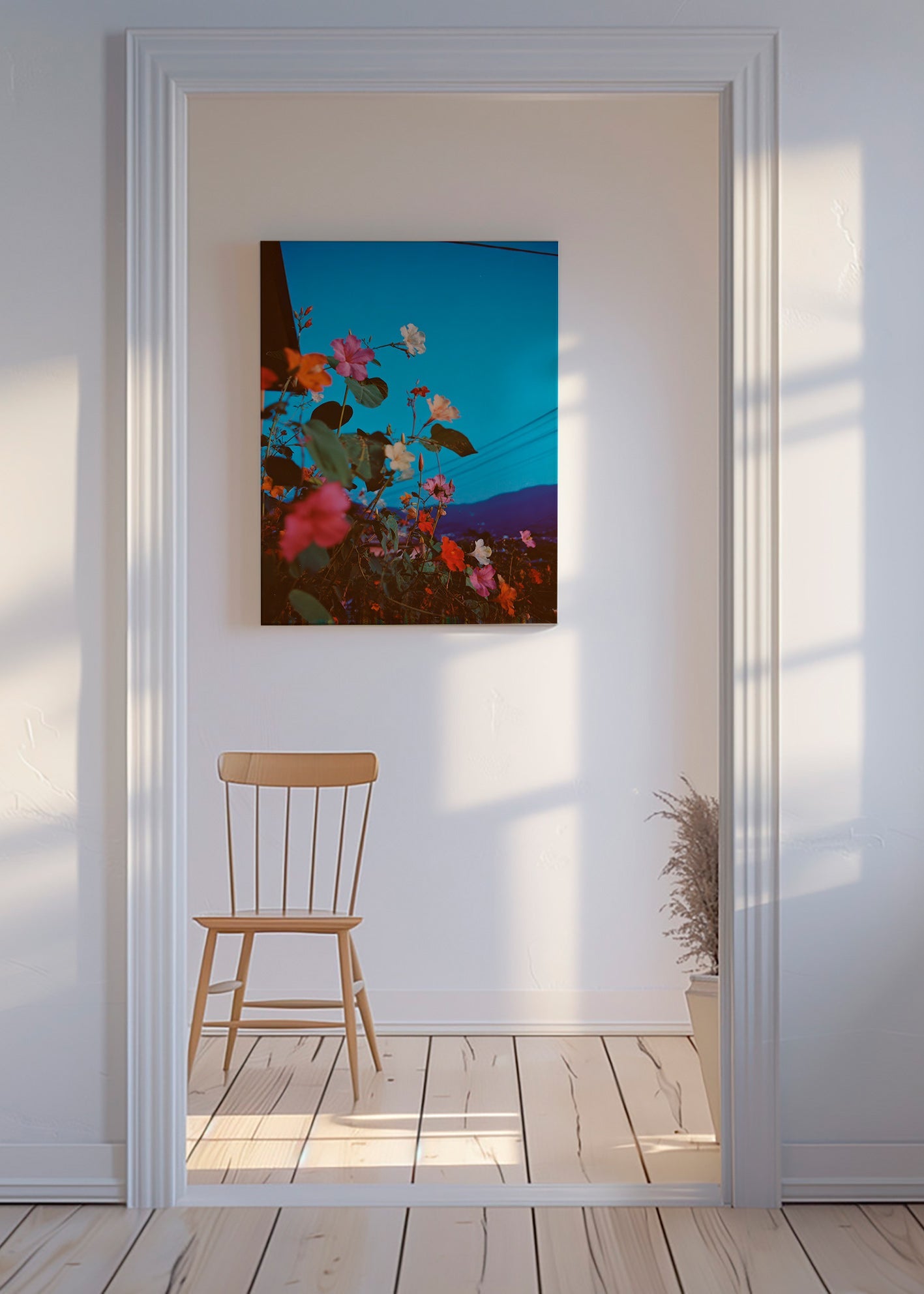 Plakat botaniczny: bugainvilla o zmierzchu