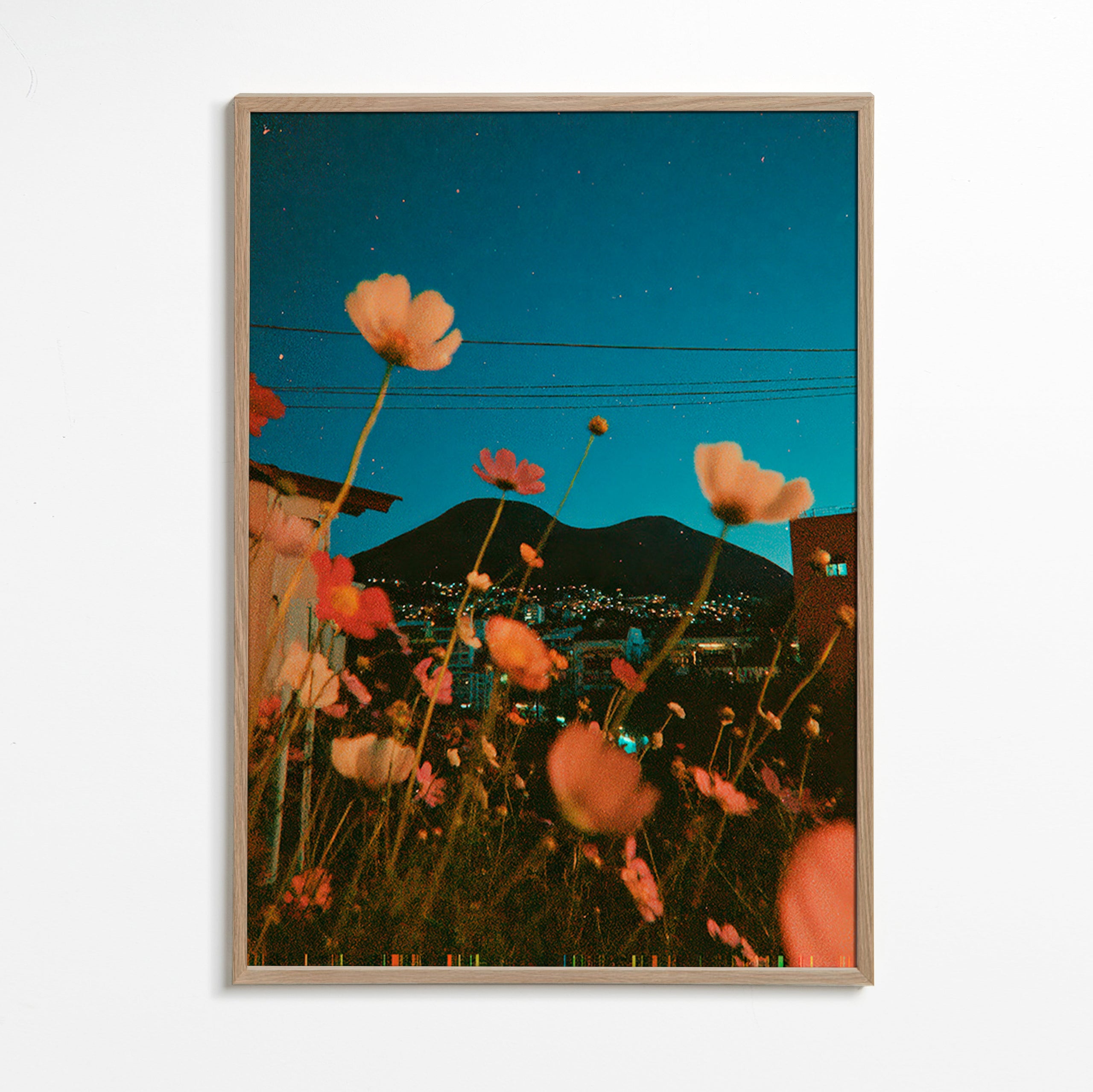 Plakat botaniczny dzikie kwiaty nad miastem o zmierzchu