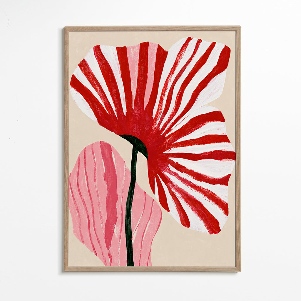 Plakat botaniczny z czerwonymi paskowanymi płatkami