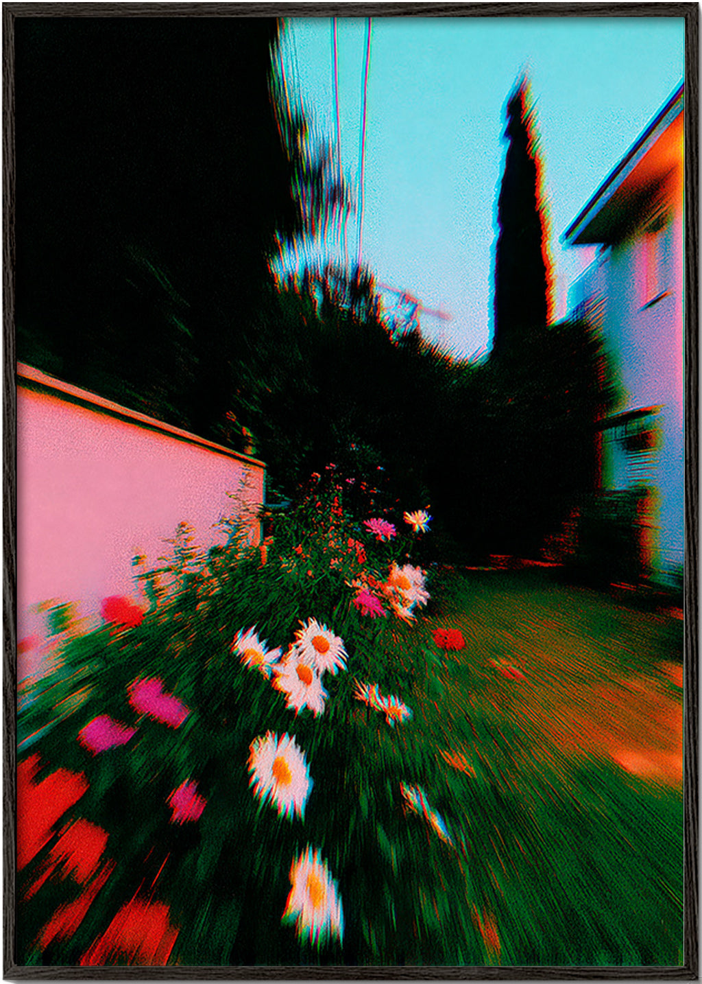 Plakat botaniczny: rozmyty ogród z stokrotkami