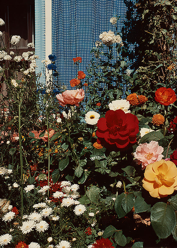 Plakat botaniczny: ogród w rozkwicie