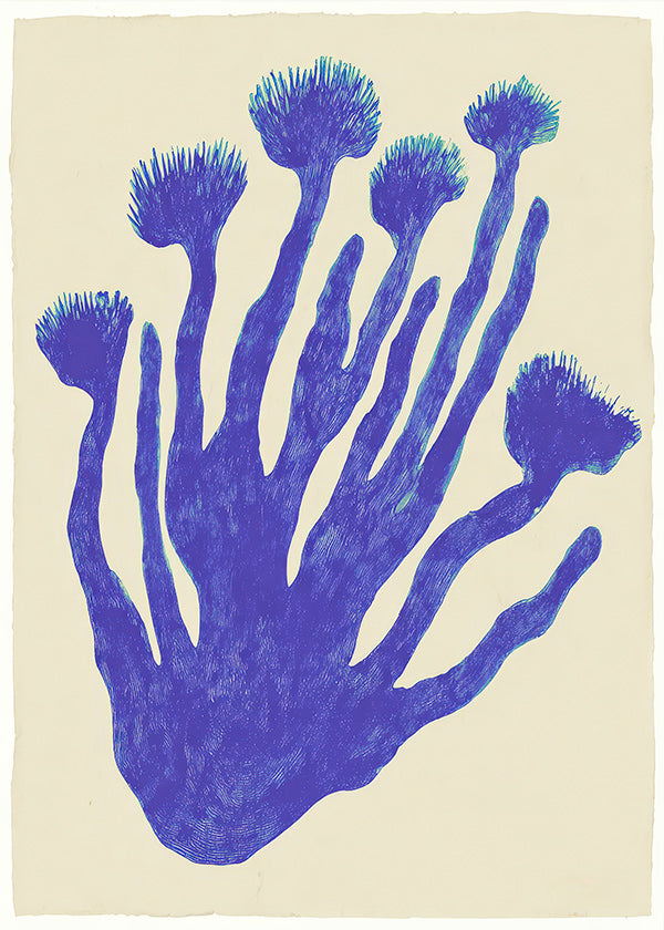 Plakat botaniczny Indigo Coral
