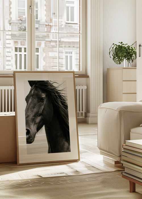 Black Stallion - Framed poster in an interior