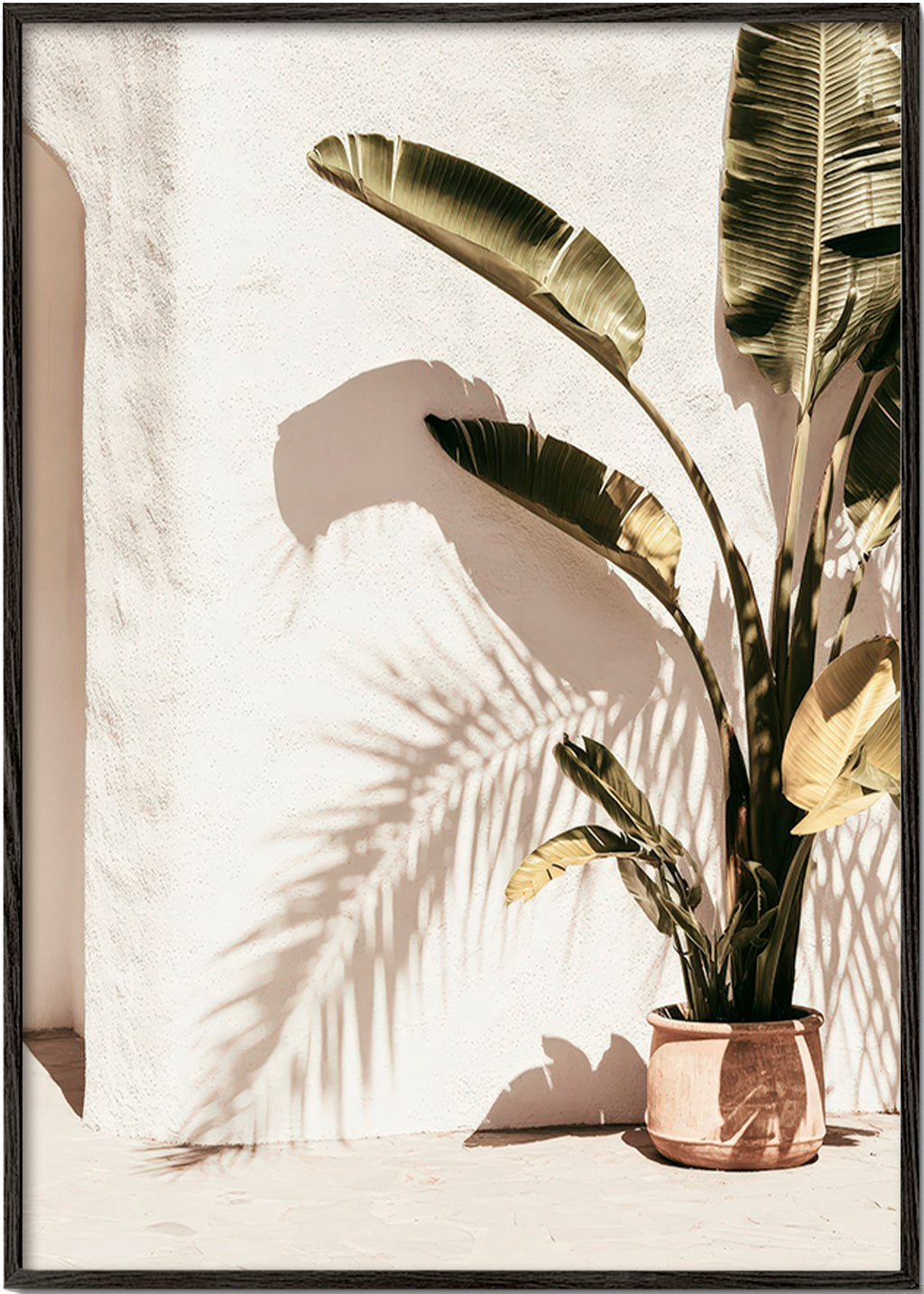 Plakat botaniczny: palma w doniczce