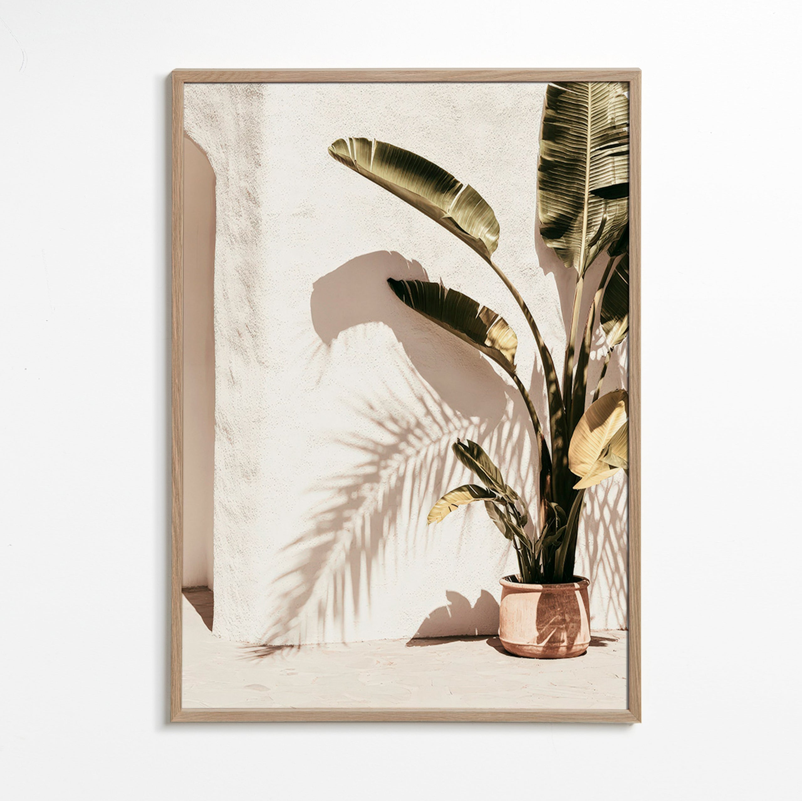 Plakat botaniczny: palma w doniczce