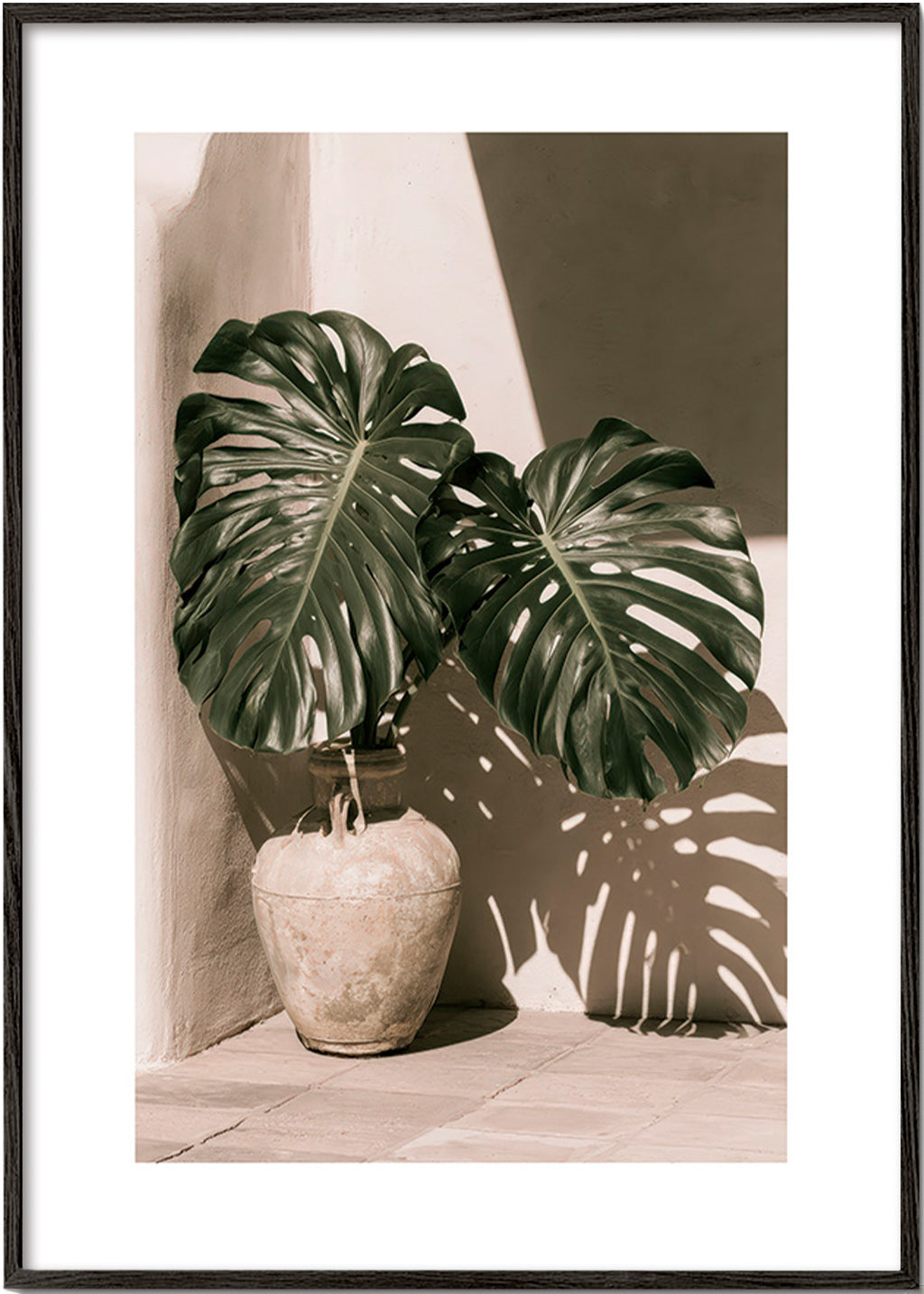 Plakat botaniczny Monstera w doniczce