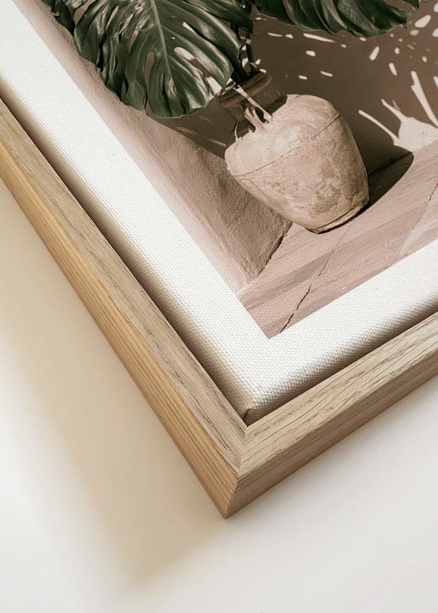 Plakat botaniczny Monstera w doniczce